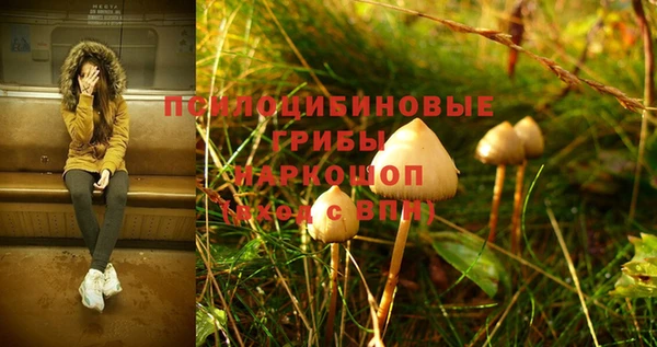 ГАЛЛЮЦИНОГЕННЫЕ ГРИБЫ Елизово