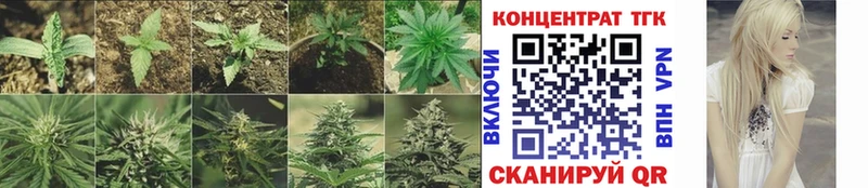 Дистиллят ТГК THC oil  нарко площадка формула  Змеиногорск 
